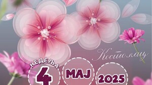 Sutra 8. Festival cveća u Kostolcu