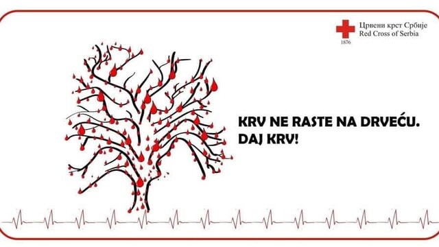 Pozivaju se građani Kostolca na akciju dobrovoljnog davanja krvi