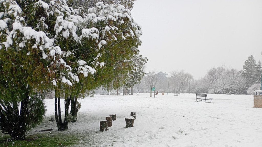 Magla na putevima u Požarevcu i okrugu
