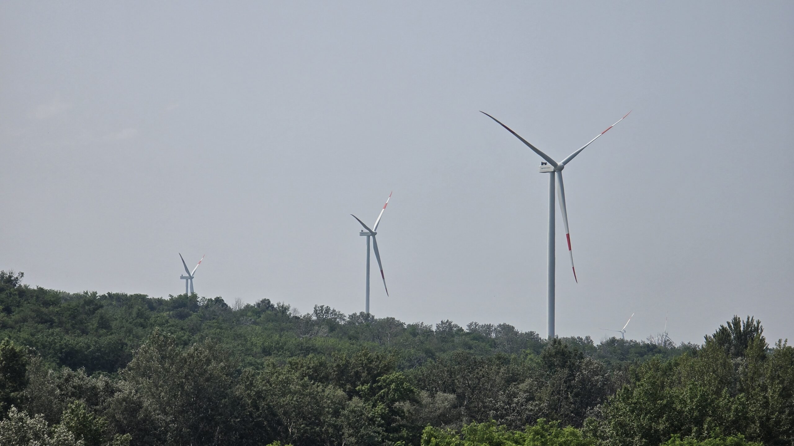 Kostolac: Vetropark će snabdevati čak 30.000 domaćinstava