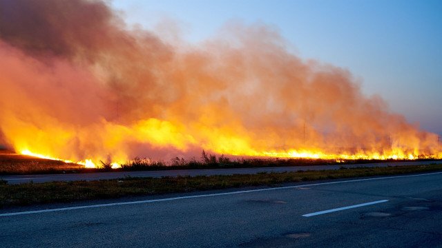 MUP: U Srbiji za 24 časa 181 požar, kod Kladova angažovana dva helikoptera