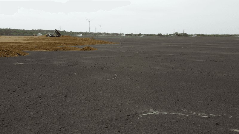 EPS: Hitne mere za sprečavanje razvejavanja pepela