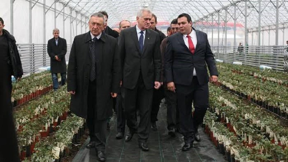 OD NIKOLIĆEVOG OSMEHA DO PUSTE LIVADE: Kostolac i ružičnjak koji nikada nije procvetao (FOTO)