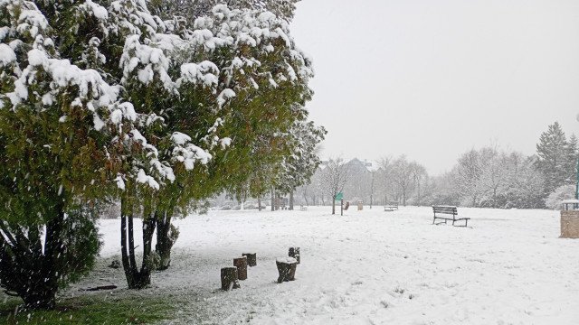 Magla na putevima u Požarevcu i okrugu
