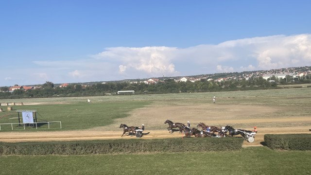 Uspeh grla iz štale Nikole Jokića na 62. Ljubičevskim konjičkim igrama (FOTO/VIDEO)
